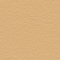 Golden Plover (FE4039)