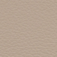 Hummingbird (FE4004)