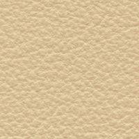 Kookaburra (FE4054)