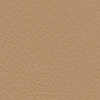 Lyrebird (FE4026)