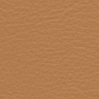 Mandarin Duck (FE4034)