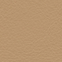 Pintail Duck (FE4027)