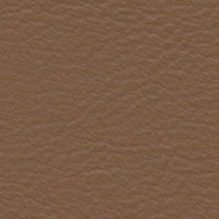 Pornarine Skua (FE4049)