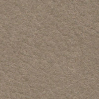 Quail (MA4416)