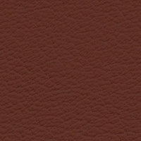 Raphael (CO2217)
