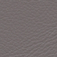 Royal Tern (FE4075)