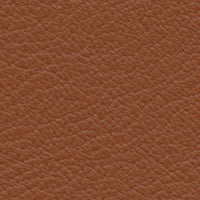 Spatola (RA1806)