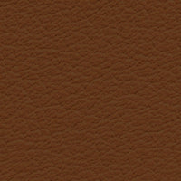 Vivaldi (CO2214)