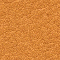 Zealand (CO2204)