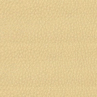 Beige 9103