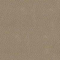 Taupe 9162
