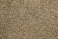 PLX-9189