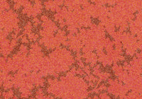 RSTA004