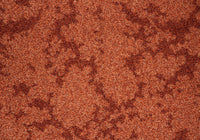 RSTA011