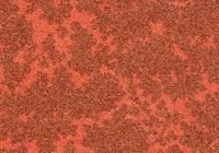 RSTB004