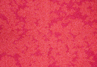 RSTB010