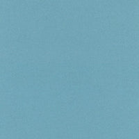 Aquamarine (836D)