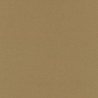 Dark Beige (236D)
