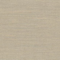 Light Beige (322FI)