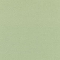 Light Green (846D)