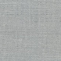 Light Grey (121FI)