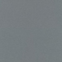 Light Grey (171D)
