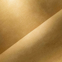 SADDLE (4571)