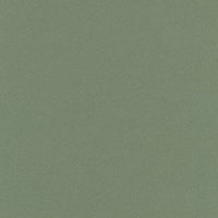 Sage (856D)