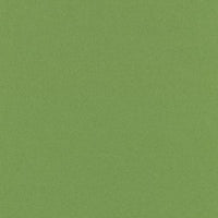 Shiny Green (956D)