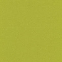 Yellow Green (936D)