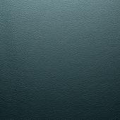 petrol (24166)