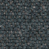 Sapri 255 (2480255)