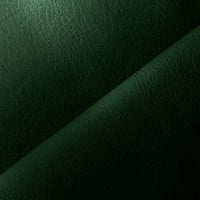 FORÊT (5199)