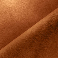 OCRE (5411)