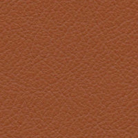 Amber (VP280)
