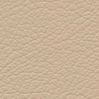 Talc (VP04)