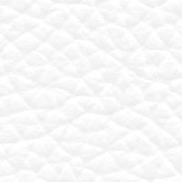 White (VO785)