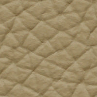 Dromedary (VO977)