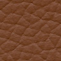 Petroglyph (VO962)