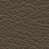 Arica (AD6062)