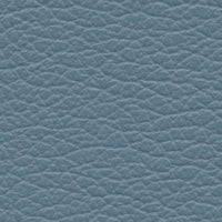 Auburn (VP587)