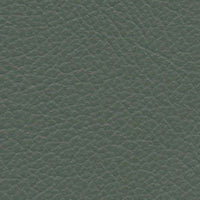 Bayleaf (VP569)
