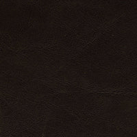 Black (01)