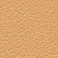 Buff (VP562)