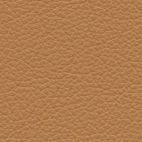 Caffe Latte (VP516)