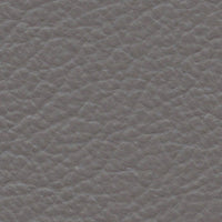 Conquistador (AD6043)