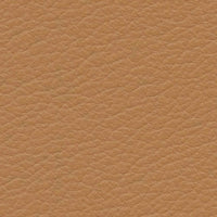 Daedalus (VP457)