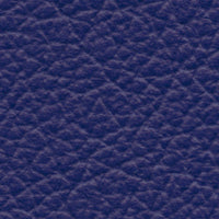 Dolphin (VP549)