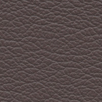 Elephant (VP361)