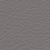 Gull (VP559)